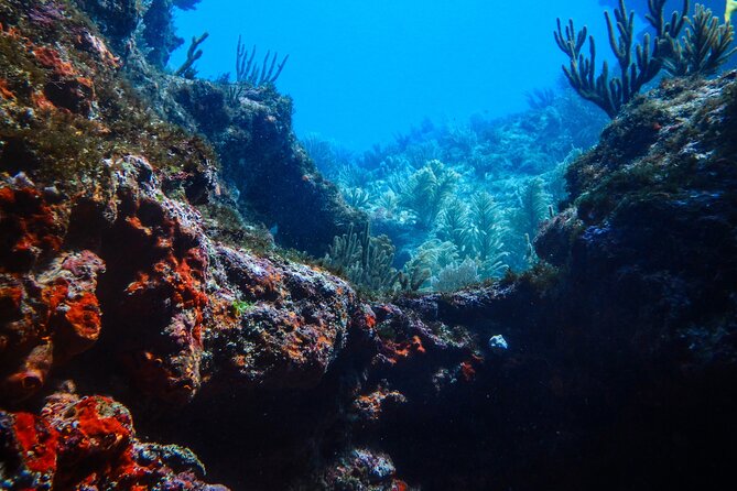 Scuba Diver Certification Course - The equipment question deserves attention