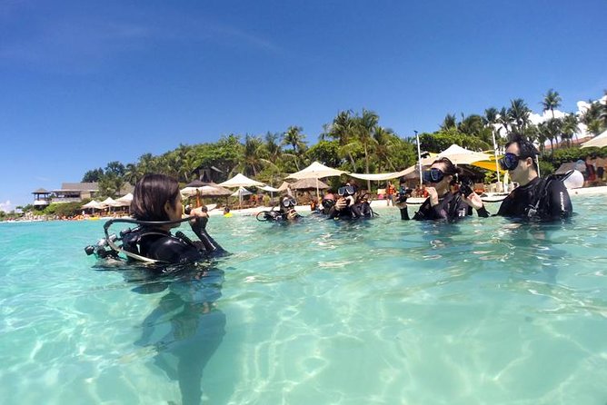 Scuba Diver Course (PADI) - Looking toward the underwater world