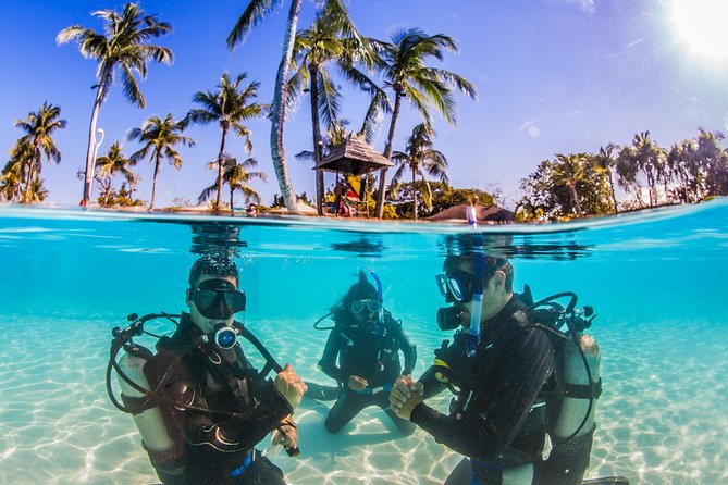Scuba Diver Course (PADI) - Starting at Scotty’s inside Shangri-La Mactan