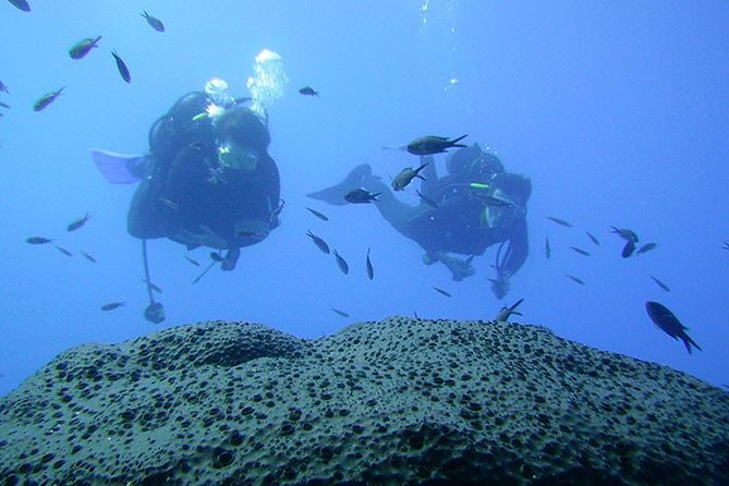Scuba Diver Course - What happens before you enter the water