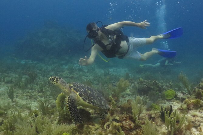Scuba Diving (1st time) in Cancun Beginner's WELCOMED! - The Mesoamerican Reef adds natural scenery