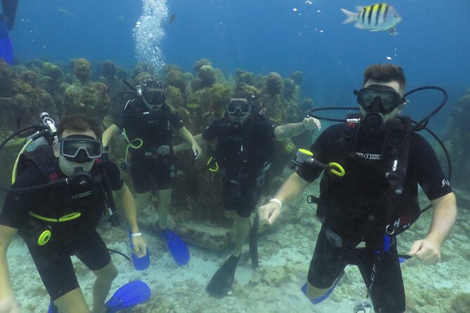Scuba Diving (1st time) in Cancun Beginner's WELCOMED! - The extra fees change the real price
