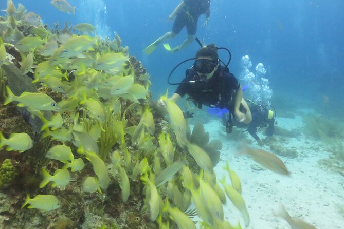 Scuba Diving (1st time) in Cancun Beginner's WELCOMED! - Safety, medical forms, and comfort