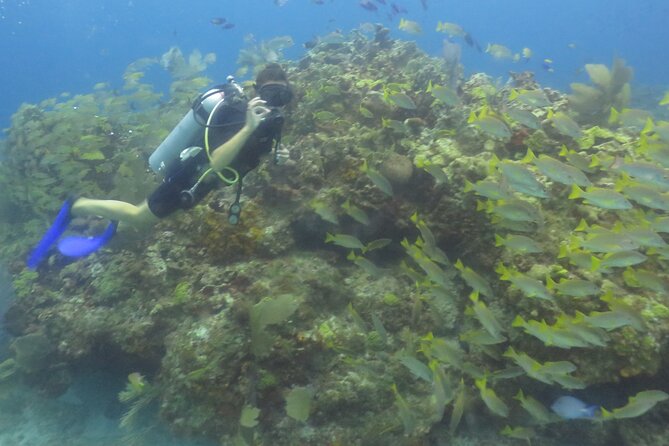 Scuba Diving (1st time) in Cancun Beginner's WELCOMED! - Who should book this experience