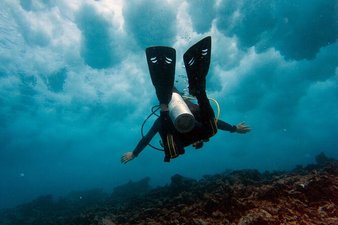Scuba Diving (1st time) in Cancun Beginner's WELCOMED! - MUSA brings art below the surface