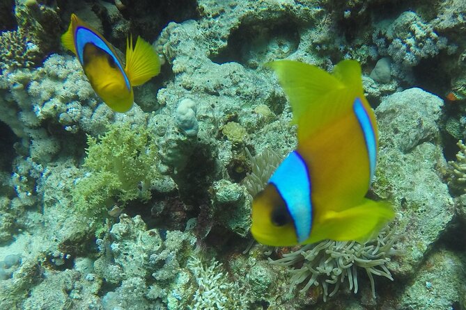 Scuba Diving 2 Dives from the Boat - Why the 12-liter tank and Nitrox matter