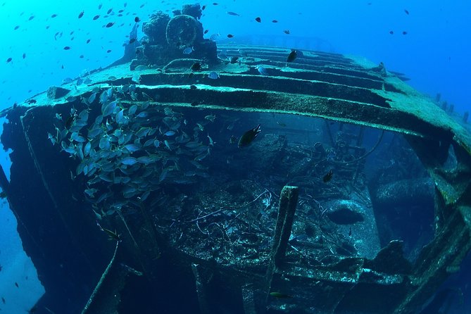 Scuba Diving - Why this Cabo outing works well
