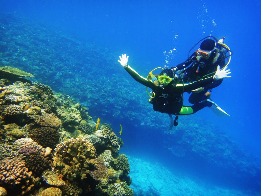 Scuba Diving 3 Islands Nha Trang Tour - What this Nha Trang boat day is really like