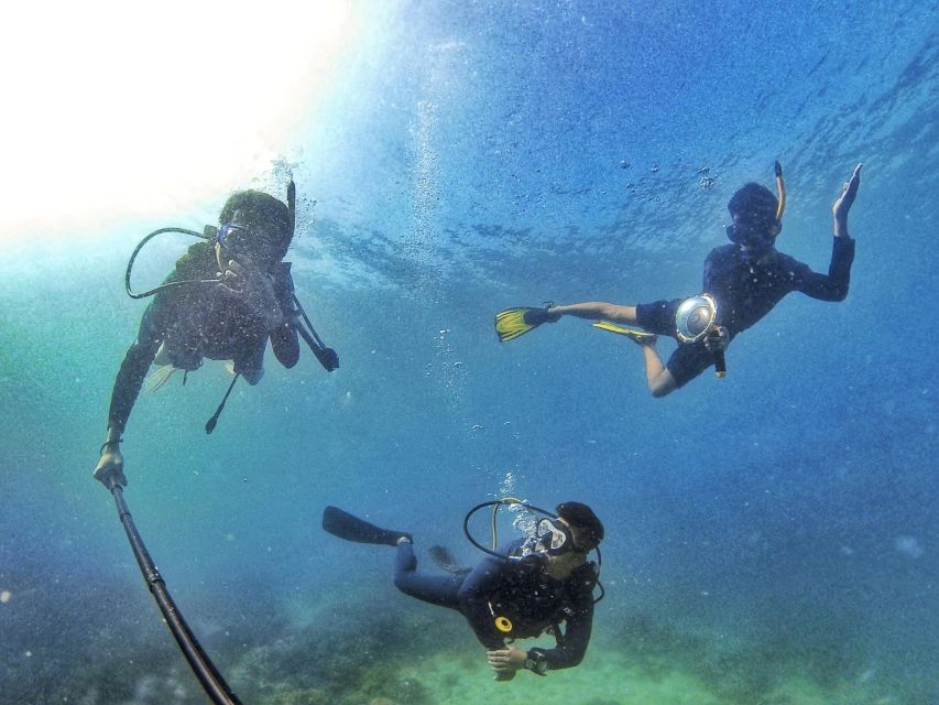 Scuba Diving 3 Islands Nha Trang Tour - Coral Bay 2 at about 13:30