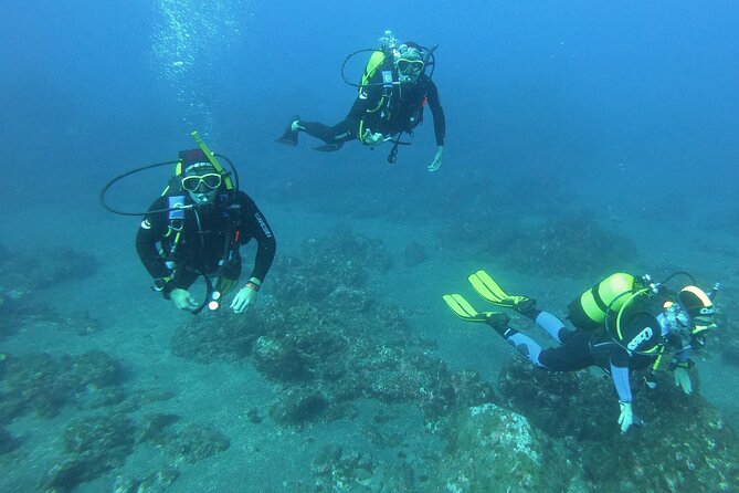 Scuba Diving - The boat ride past the Arch and sea lions