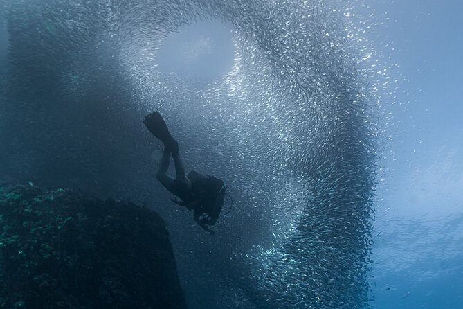 Scuba Diving - The guides make the biggest difference