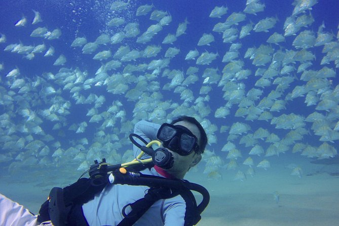 Scuba Diving - A realistic look at the drawbacks
