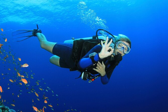 Scuba Diving Activity in Dubai with Hotel Pickup - The briefing covers the safety basics you need