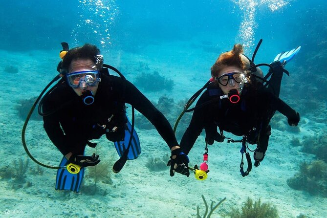 Scuba Diving Activity in Dubai with Hotel Pickup - Around 45 minutes for your first underwater session