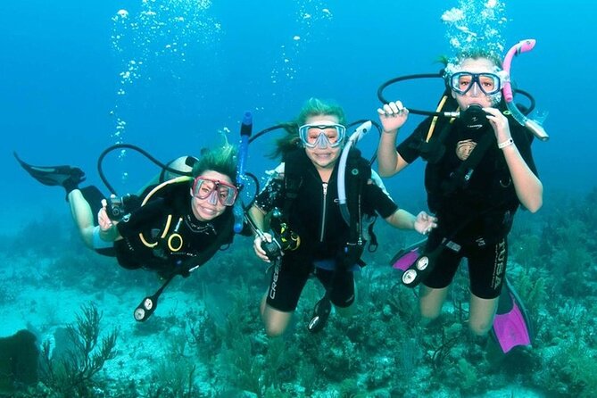 Scuba Diving Activity in Dubai with Hotel Pickup - Thirty minutes in shallow water builds confidence