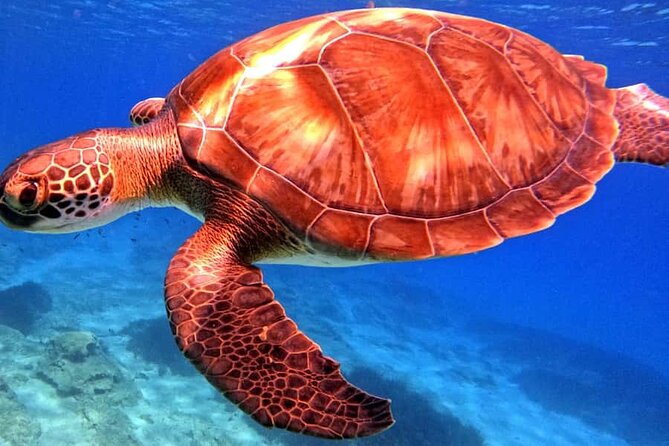 Scuba Diving Adventure at Green Bay Beach - What this Green Bay experience is really like