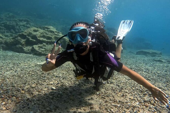 Scuba Diving Adventure at Green Bay Beach - Fish Rock and the pleasure of a simple encounter