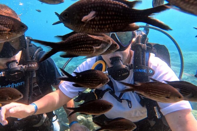 Scuba Diving Adventure at Green Bay Beach - Why the instructors matter for first-timers