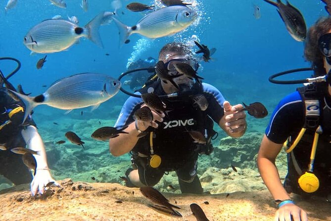 Scuba Diving Adventure at Green Bay Beach - Green Bay Beach, where the lesson begins
