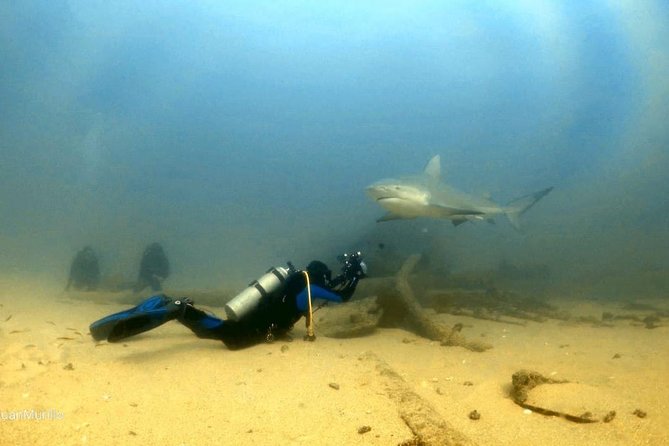 Scuba Diving adventure Cabo pulmo - The reef commentary adds useful context