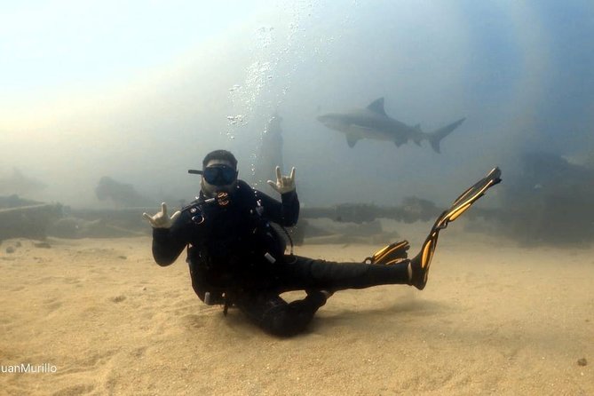 Scuba Diving adventure Cabo pulmo - What is included, and what needs clarification