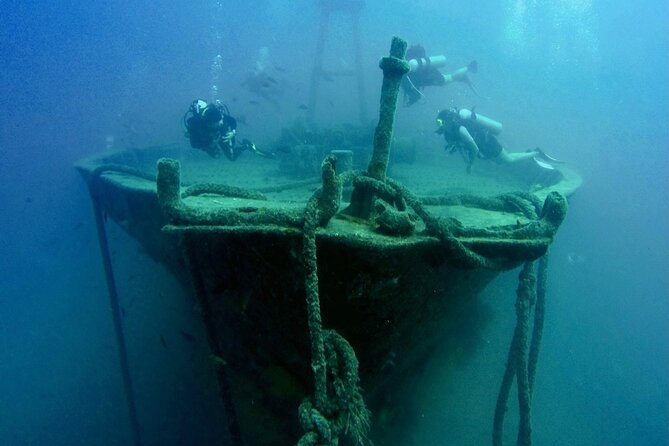 Scuba Diving Adventure in La Paz - What the underwater time may be like