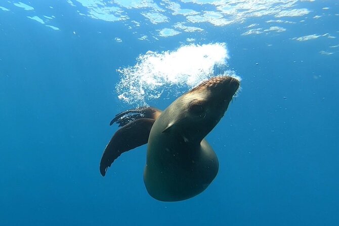 Scuba Diving Adventure in La Paz - Beach lunch and a slower second half
