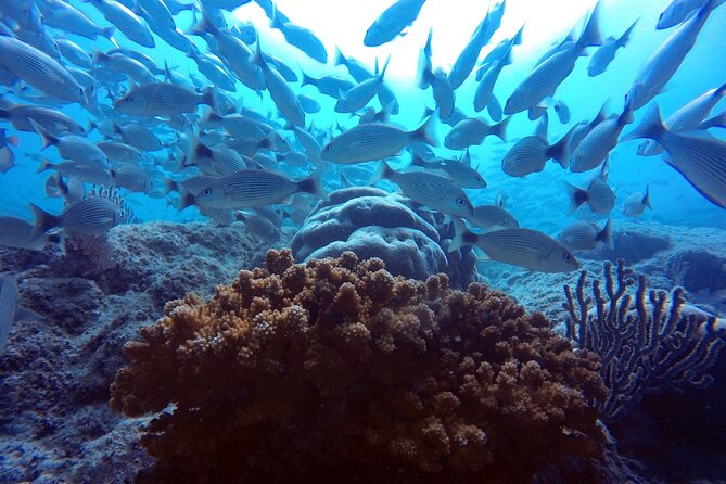 Scuba Diving Adventure in La Paz - Who will enjoy this outing most