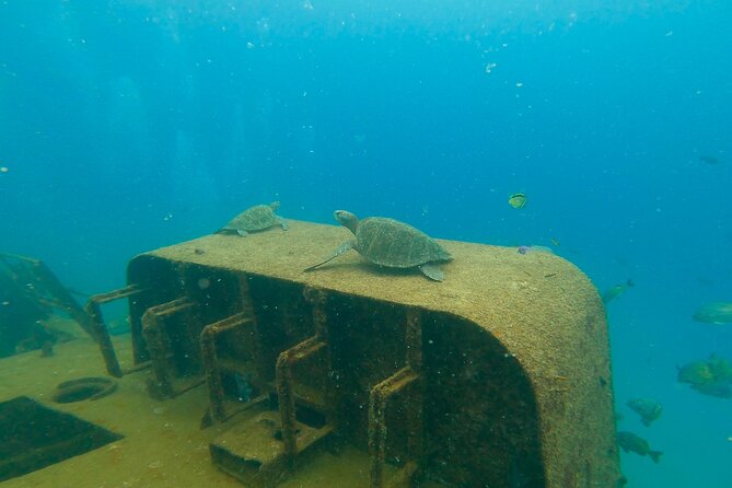 Scuba Diving Adventure in La Paz - The 8:30 am start at Muelle Fiscal