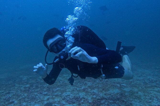 Scuba Diving Adventure in Musandam, Oman - Guides, briefings, and safety