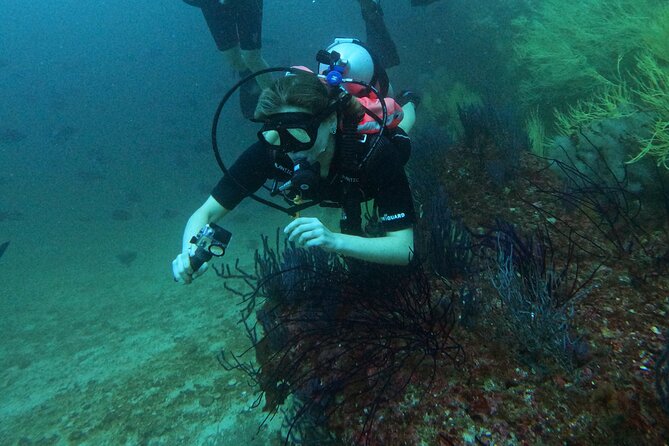 Scuba Diving Adventure in Musandam, Oman - The boat interval and Musandam above water