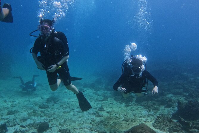 Scuba Diving Adventure in Musandam, Oman - Who will get the most from this outing