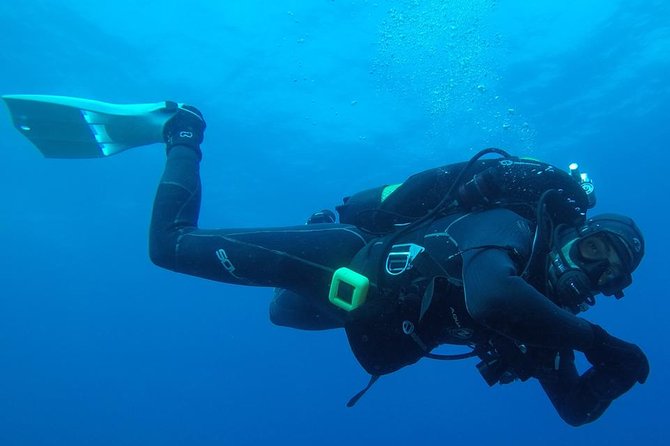 Scuba Diving Albufeira-Double Dive Trip - Key Points Before You Book
