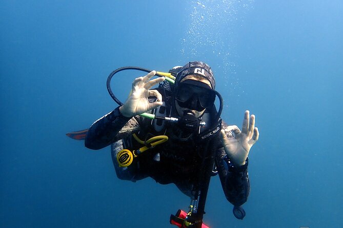 Scuba Diving Albufeira-Double Dive Trip - The Marine Life: Pleasant, Not Guaranteed