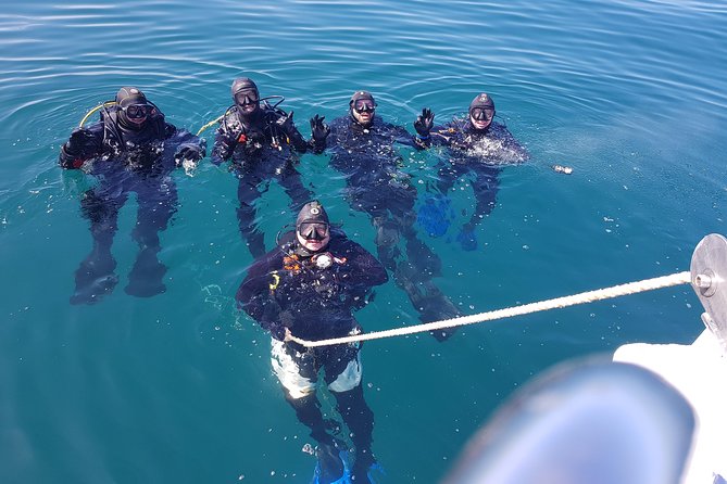 Scuba Diving Albufeira-Double Dive Trip - Boat Access Makes the Morning Easy