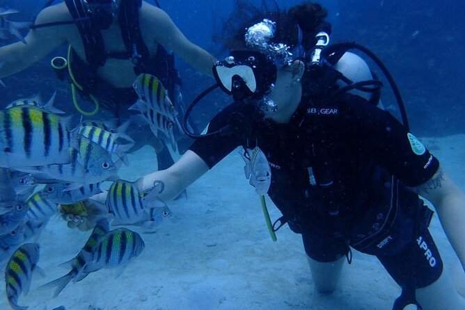 Scuba Diving and shopping on the Hipstrip. - Beach-park time adds flexibility
