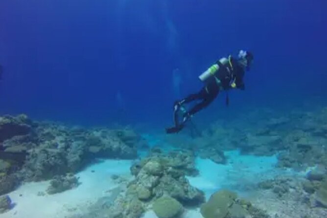 Scuba Diving and shopping on the Hipstrip. - The 20-minute lesson keeps the introduction practical