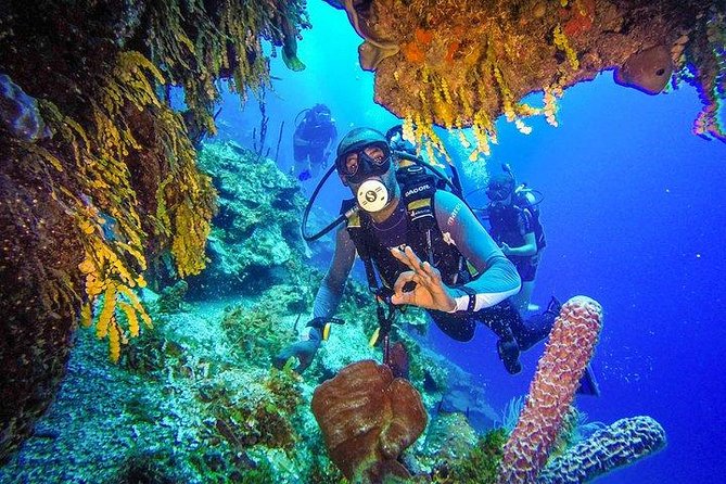 Scuba Diving at Catalina Island - 2 tank | 2 spots - What this Catalina Island trip is really about