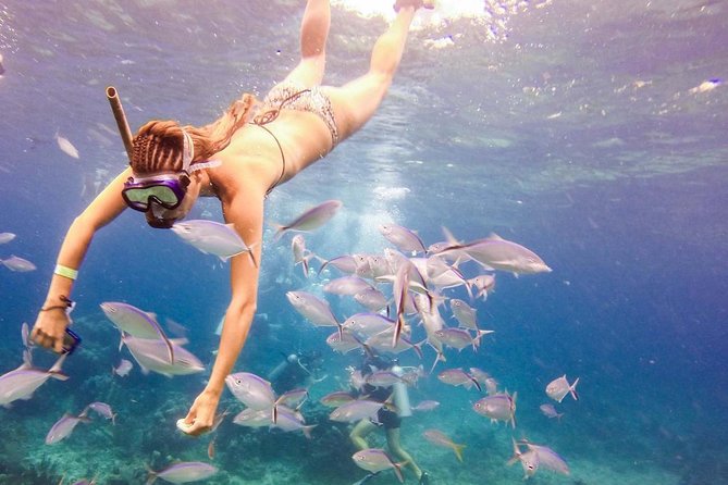 Scuba Diving at Catalina Island - 2 tank | 2 spots - Equipment, fitness, and what to pack