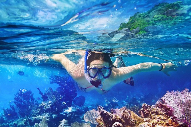 Scuba Diving at Catalina Island - 2 tank | 2 spots - The transportation problem you should take seriously