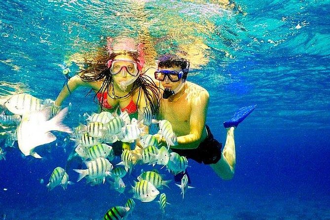 Scuba Diving at Catalina Island - 2 tank | 2 spots - Sailing to Catalina Island by catamaran