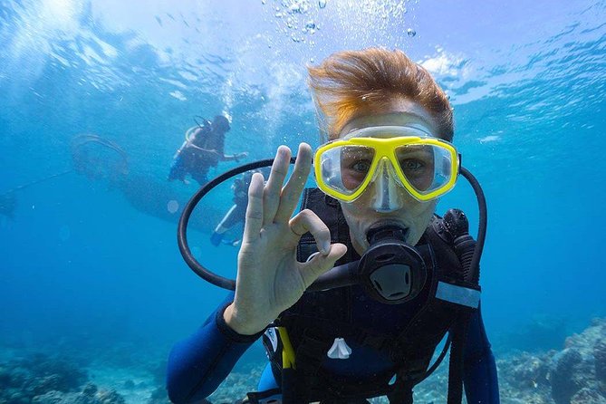 Scuba Diving at Catalina Island - 2 tank - for Certified Divers - Key points for your Catalina Island day