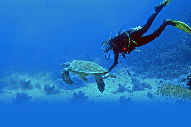 Scuba Diving at Jumeirah Dubai with Private Transfers - Getting comfortable with breathing underwater