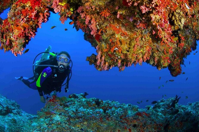 Scuba Diving at Jumeirah Dubai with Private Transfers - Underwater photographs and the social media catch