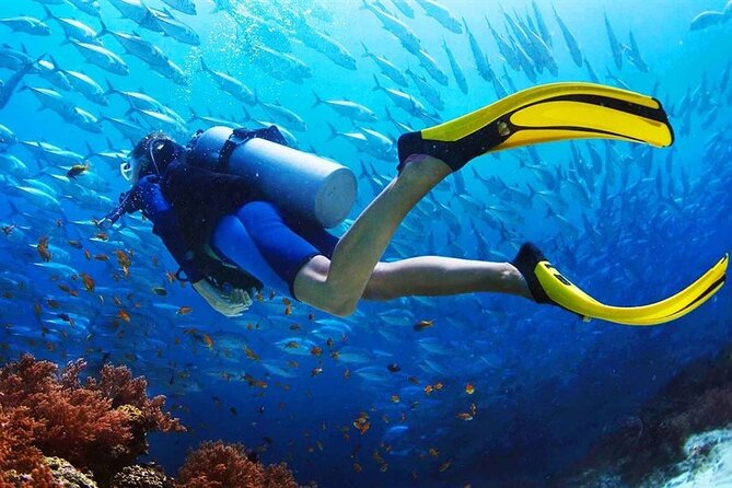 Scuba Diving at Jumeirah Dubai with Private Transfers - Private pickup and the value of the $167.49 price