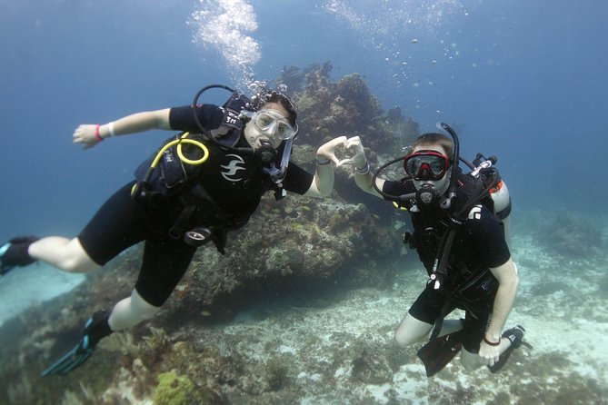 Scuba diving at MUSA the underwater museum for certified divers - Manchones brings the reef back into focus