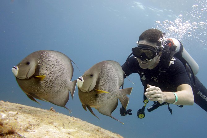 Scuba diving at MUSA the underwater museum for certified divers - Booking, weather, and cancellation details
