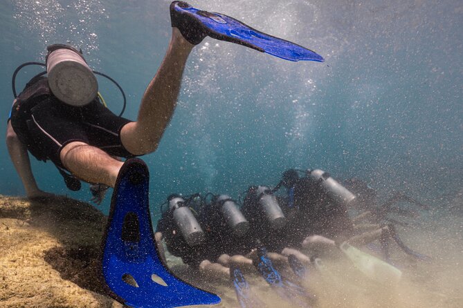 Scuba Diving at Turtle Bay with Underwater Pictures Included - Key points to know before booking