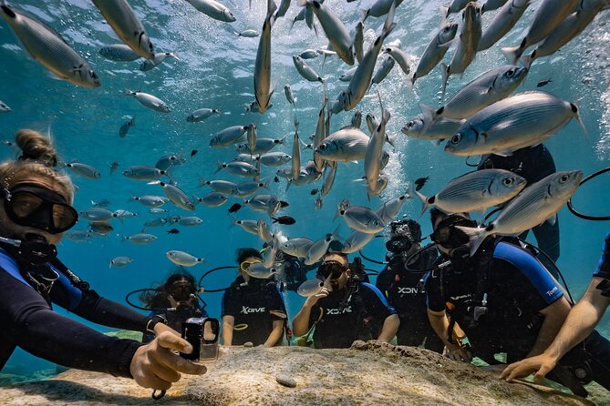 Scuba Diving at Turtle Bay with Underwater Pictures Included - Starting at Aquanaut on Green Bay Beach