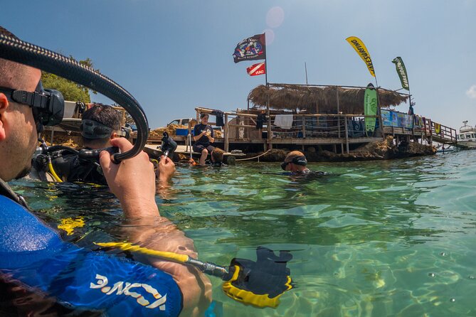 Scuba Diving at Turtle Bay with Underwater Pictures Included - What the included photos add